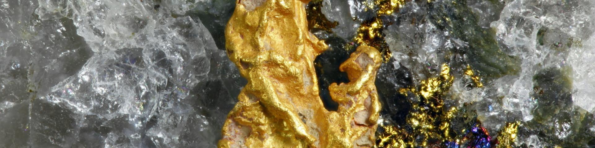 Pépite d'or et quartz (Lapland, Finlande, 2018) © AdobeStock - Henri Koskinen