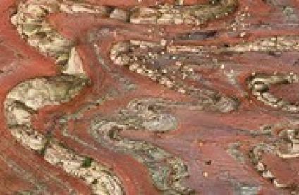 Ecole thématique CNRS-Université de Rennes « Ressources minérales » (Rennes, 8-11/09/2014)