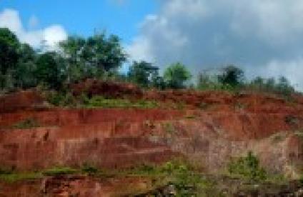 Filon pegmatitique en Guyane © BRGM M. Chevillard