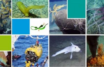 Ressources minérales marines profondes