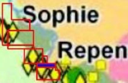 concessions dites « Placer Union », « Repentir », «Nicole-Providence», « Dagobert », « 215/216 », « Sophie » et « Bœuf-Mort » en Guyane