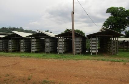 Carothèque Camp Citron