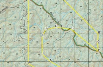 Consultation publique sur la demande de permis exclusif de recherches de mines dit « Permis Maripa Sud-Est » en Guyane