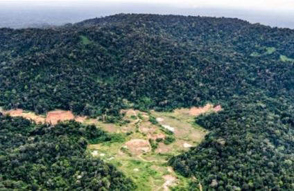 Projet Montagne d'Or en Guyane : ouverture du débat public