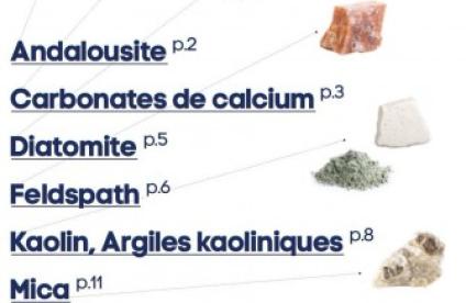 Principaux minéraux