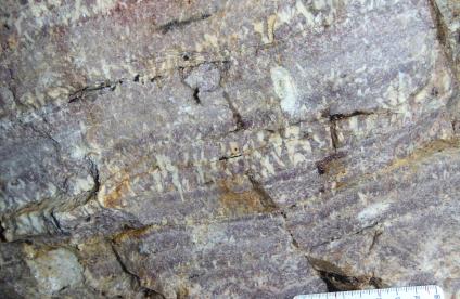 Pegmatite lithinifère de Chèdeville