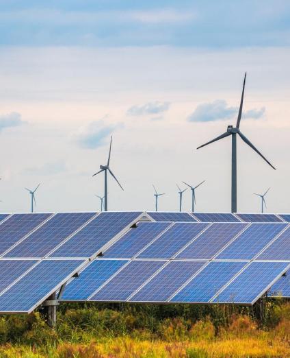 Paysage panneaux solaires - silicium