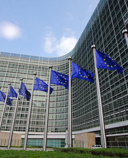 Commission Européenne