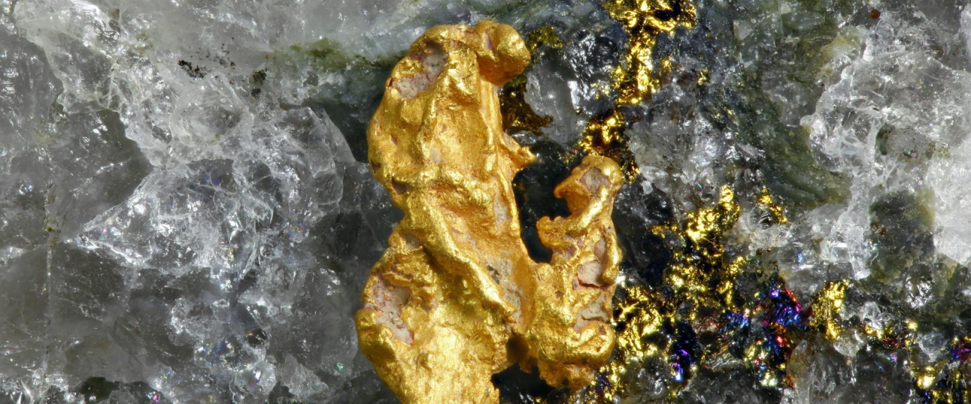 Pépite d'or et quartz (Lapland, Finlande, 2018) © AdobeStock - Henri Koskinen