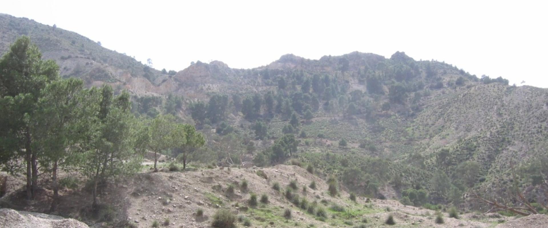 Filon de célestite en Algérie © BRGM - Patrick Lebret