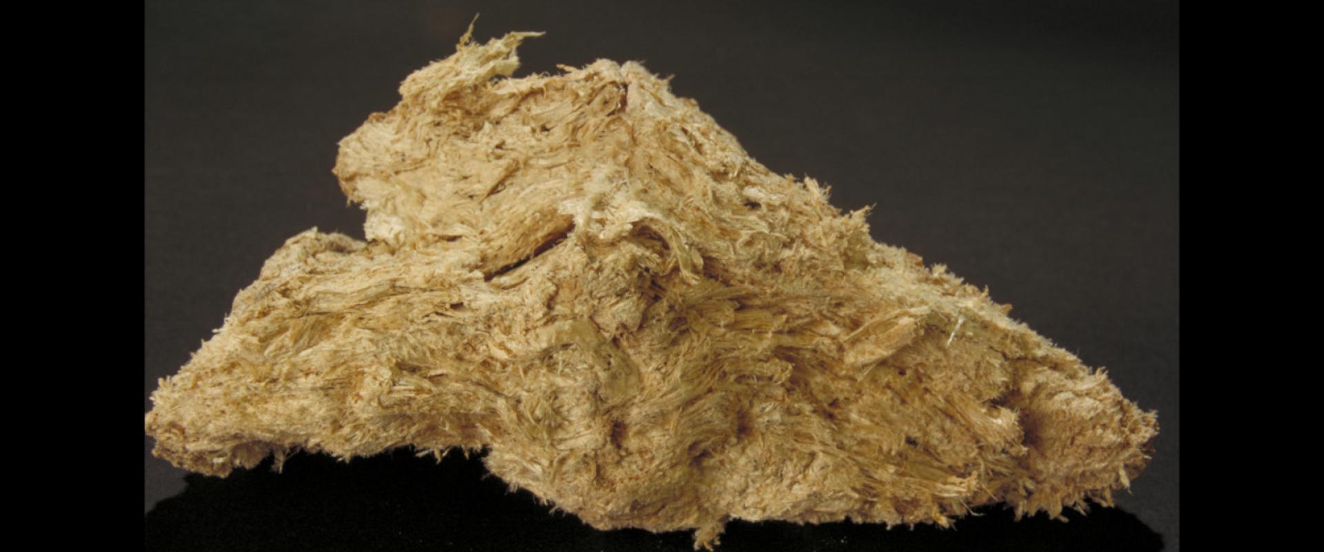 Echantillon de sépiolite © BRGM - Urbain de Cayeux