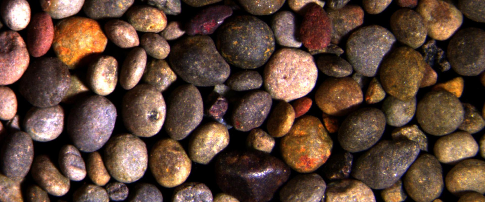 Monazite grise à europium © BRGM - Delphine Bruyere