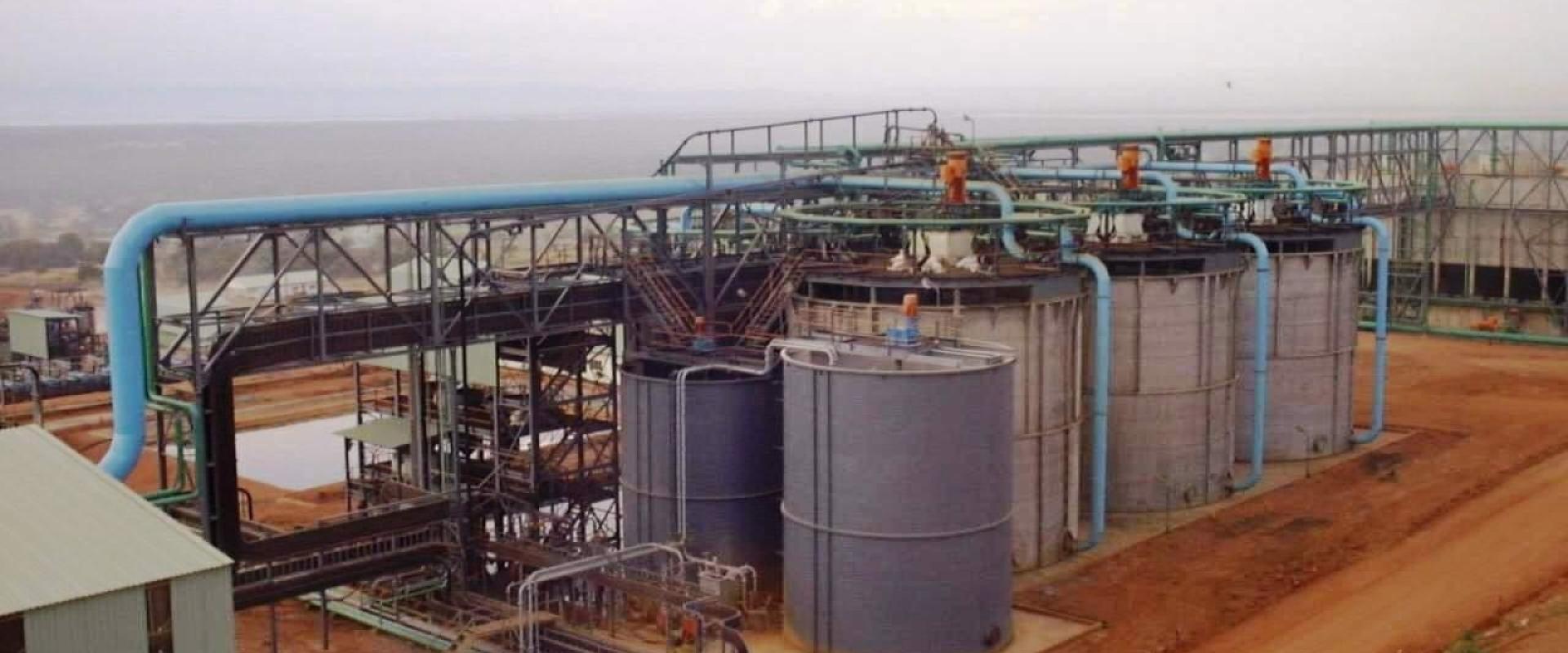  Biolixiviation pour la récupération du cobalt