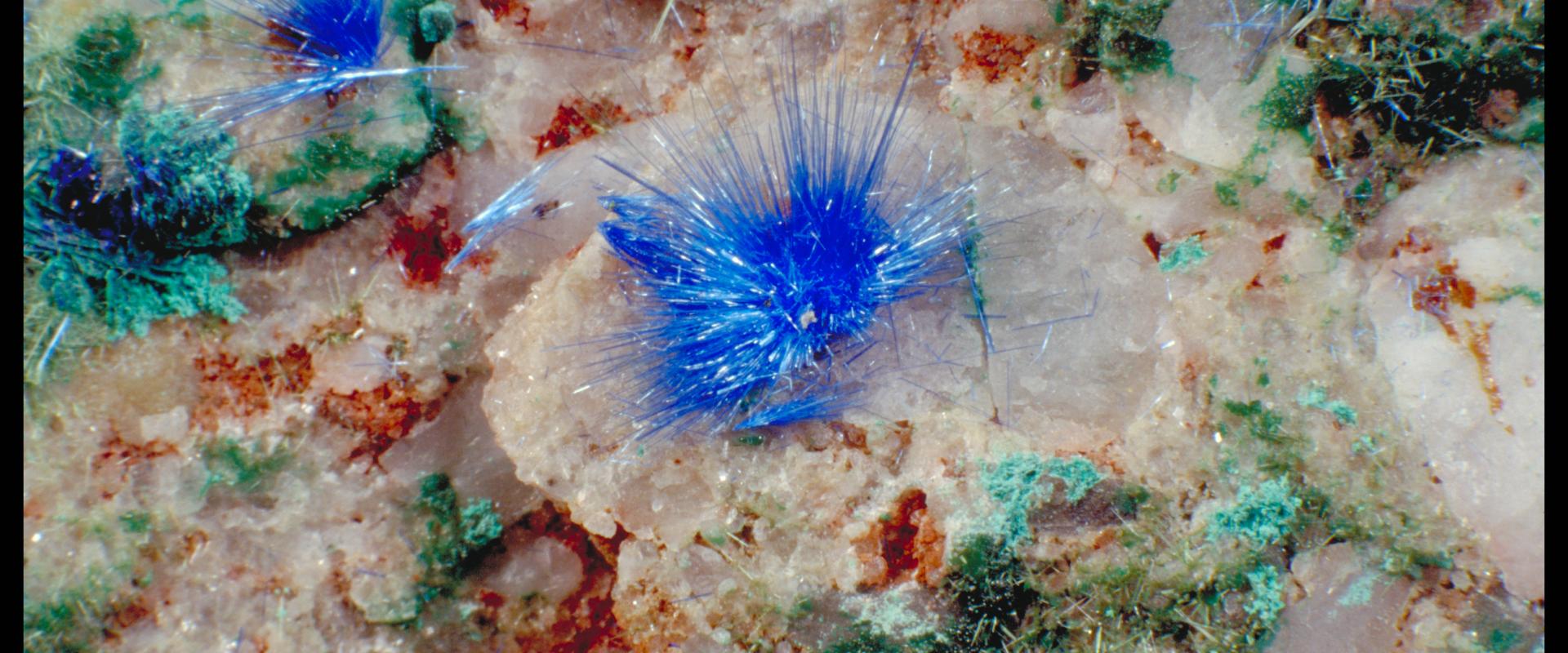 Échantillon de cyanotrichite associée à de la calcophyllite (verte) à Cap Garonne (Var, France) - © BRGM - Elisabeth LE GOFF Echantillon de cyanotrichite