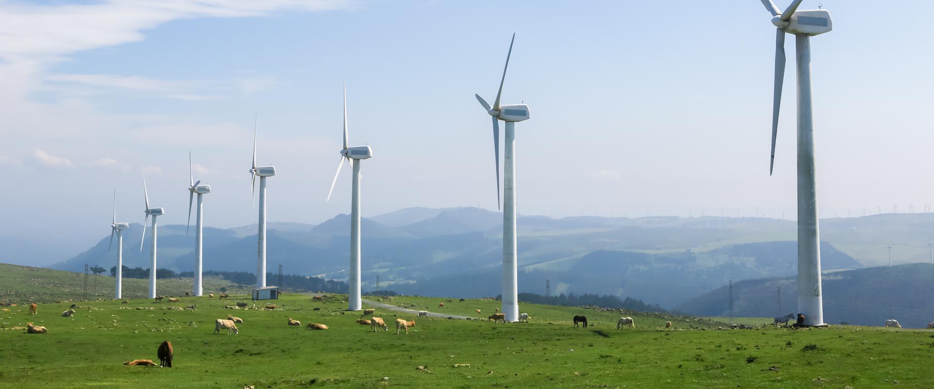 Parc d'éoliennes au milieu de prés d'élevage bovin (Galice, Espagne). - © jorisvo - Fotolia Parc d'éoliennes