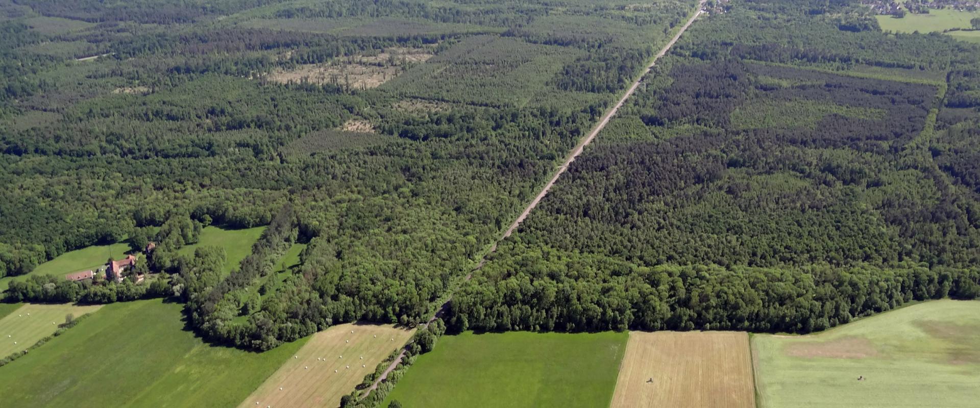 Forêt de Haguenau vue depuis Surbourg