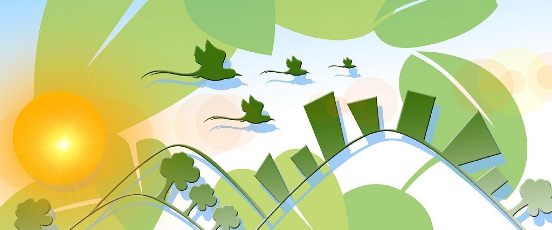 Evaluation environnementale plan programme