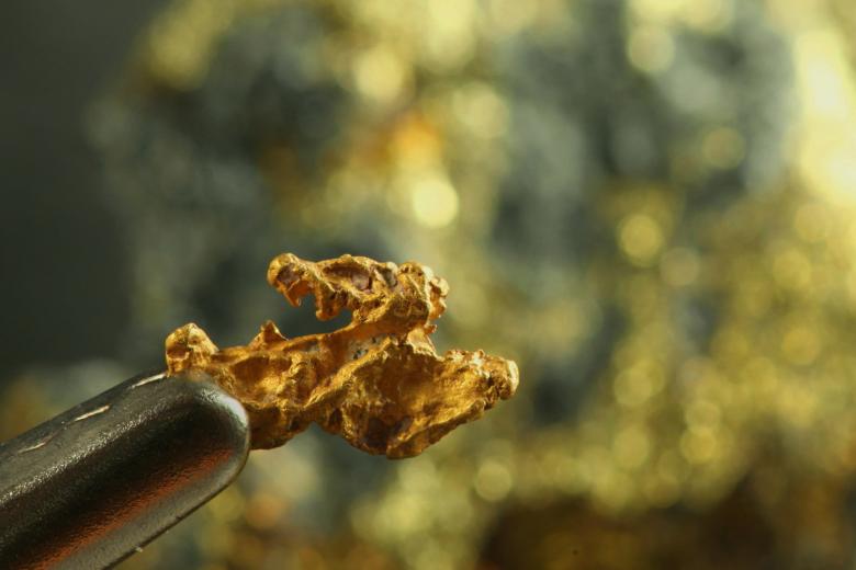 Pépite d'or
